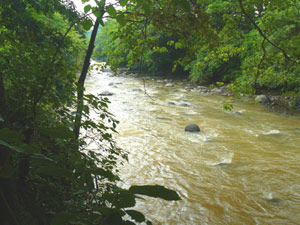 The Canas River flows through the village of Libano and then passes beside the former Tilapia farm to which it used to supply water for the ponds.